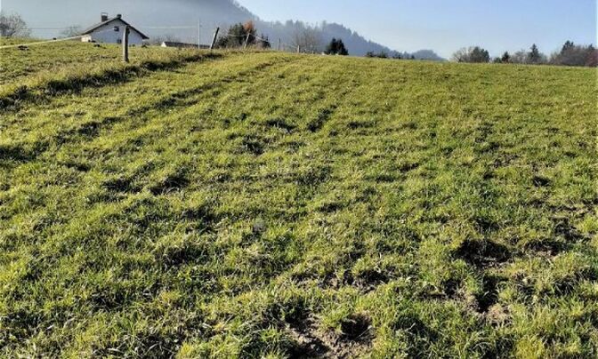 Investment site in Upper Hamelin