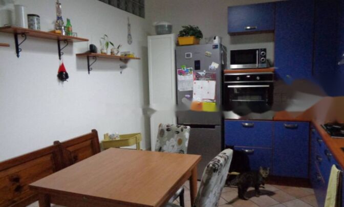 Двухкомнатная квартира в центре Гориции