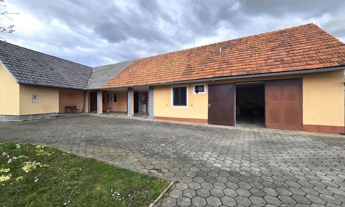 House, Vitomarci