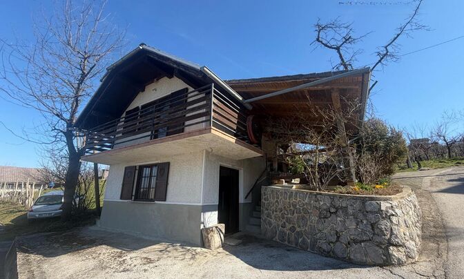 House, Orekhovitsa