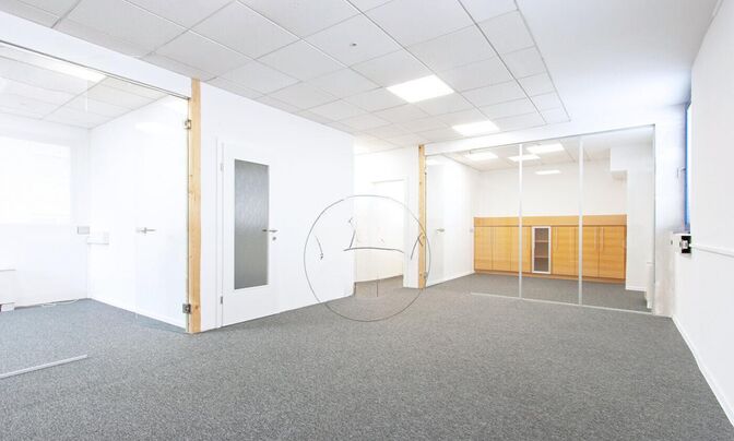 Commercial premises Shishka