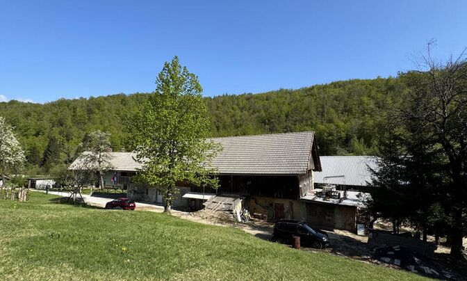 Estate, Nemshka Rovt's farm