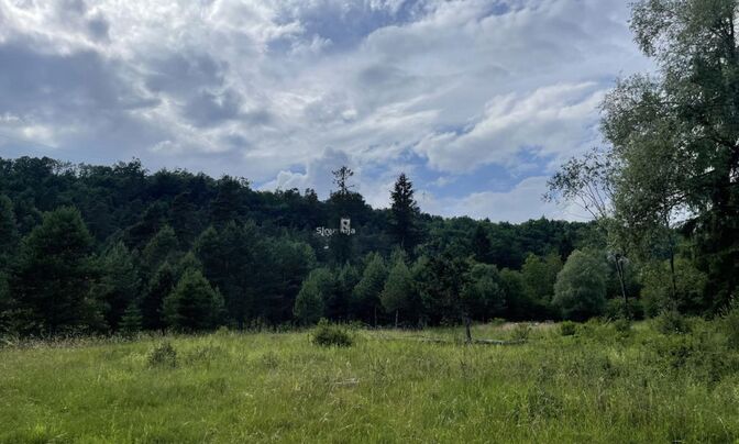 Plot of land, agricultural land Bled