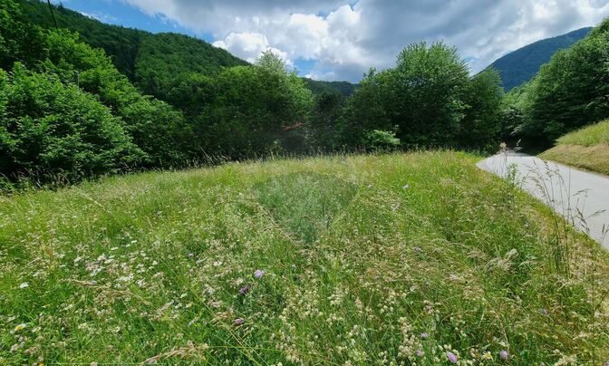 Plot of land in Kropa, sunny, partly agricultural.