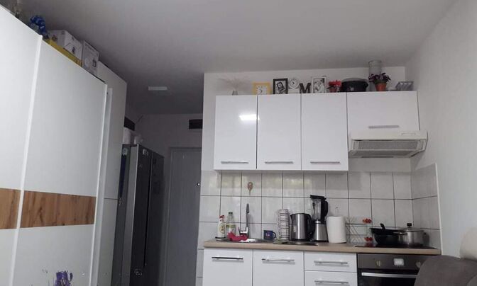 Apartment Stepanskoye Population