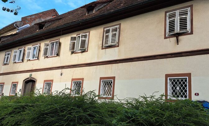 Three-room apartment on Vegova