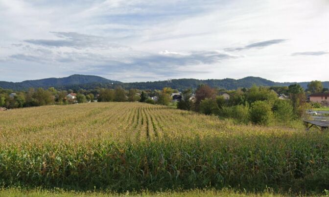 The village was built by L.Yu. Most.