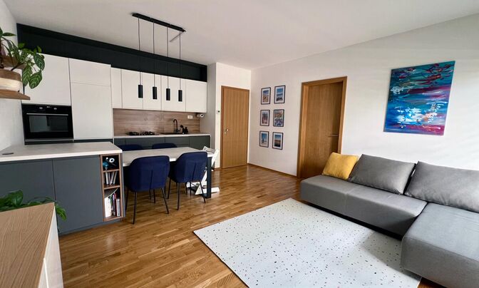 2.5-room apartment Novo Rudnik