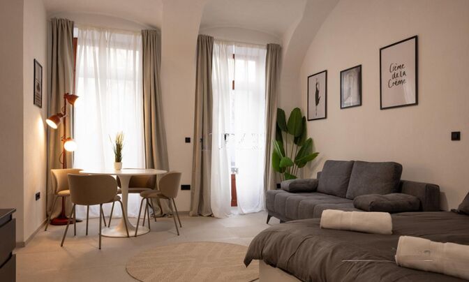 One-room apartment Novo Prule