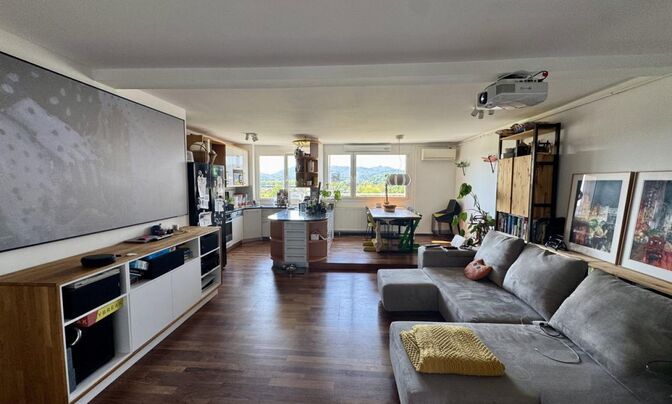 Apartment, 4 rooms, Shishka