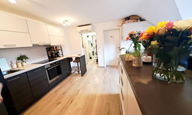 Apartment in Shmartno pod Gorou