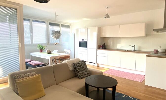 3-room apartment Novy Dravle
