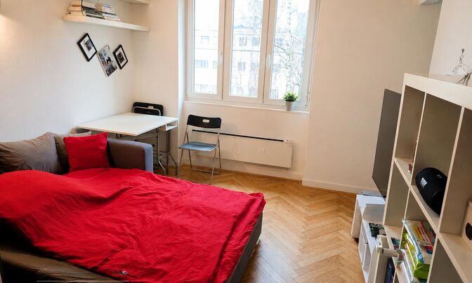 Studio Apartment in Kotnikov Center