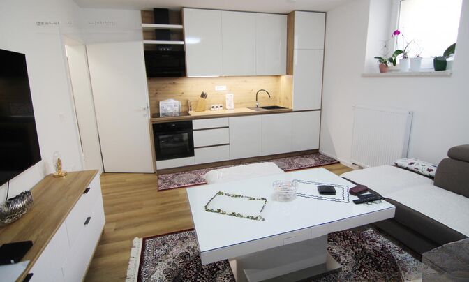 Two-room apartment Novo Rudnik