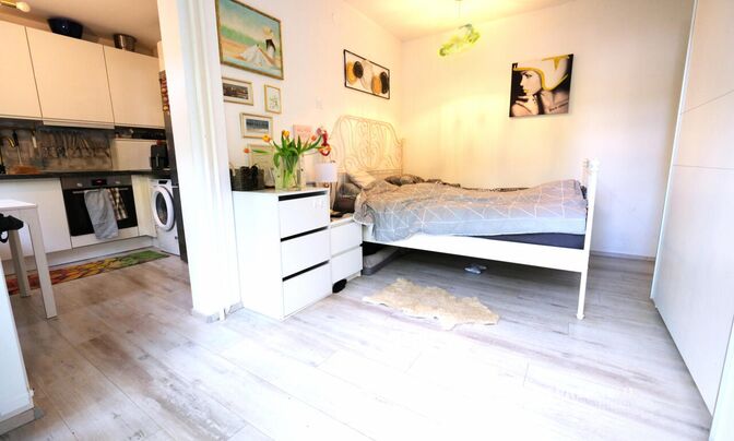Apartment, 1-room, Shishka