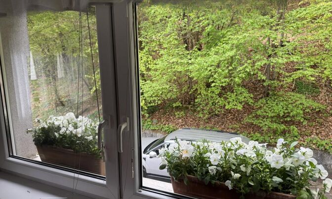 3-room apartment with a view of Crimea and the forest