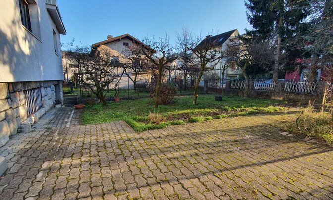 House, Ljubljana, Shishka