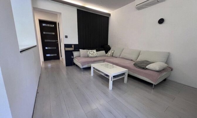 Apartment in New Ljubljana Vich