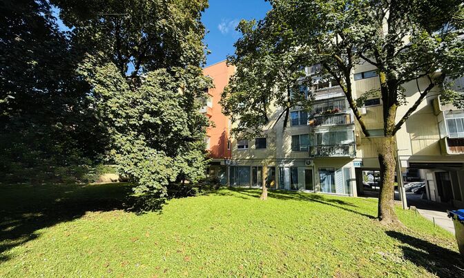 Studio apartment Bezhigrad