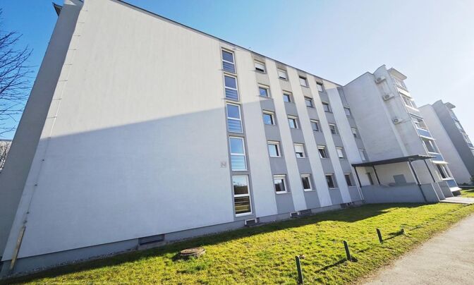 Three-room apartment in Dravle