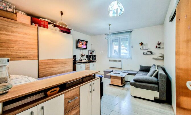 Apartment, 1-room, Pole