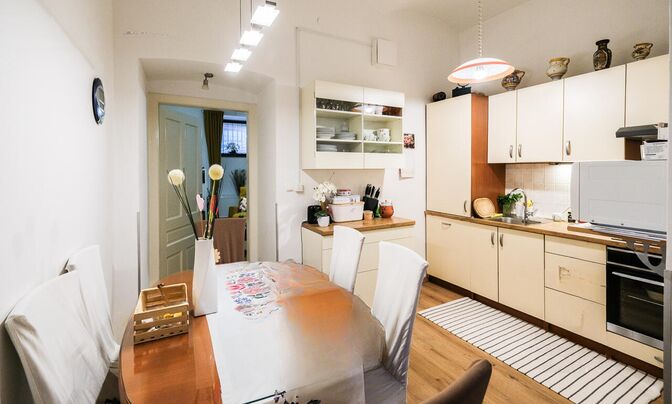 Apartment in the center of Ljubljana