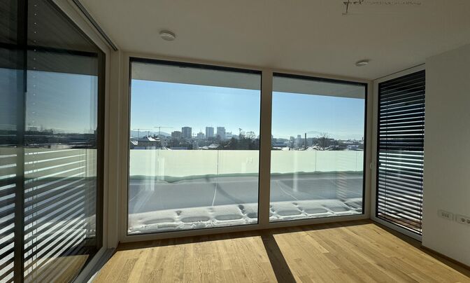 Apartment in the Zhidanov Quarter