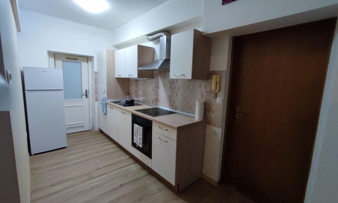 2-room apartment in New Lublyan Center