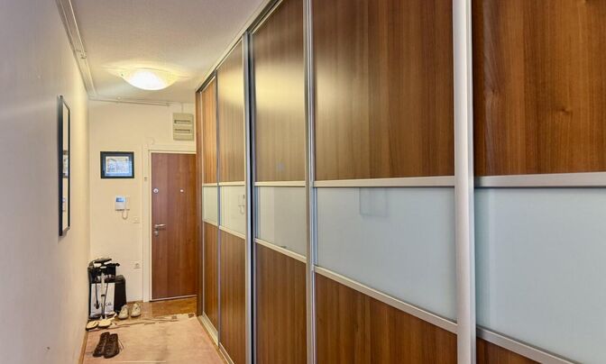 Apartment with more than 5 rooms in Bezigrad