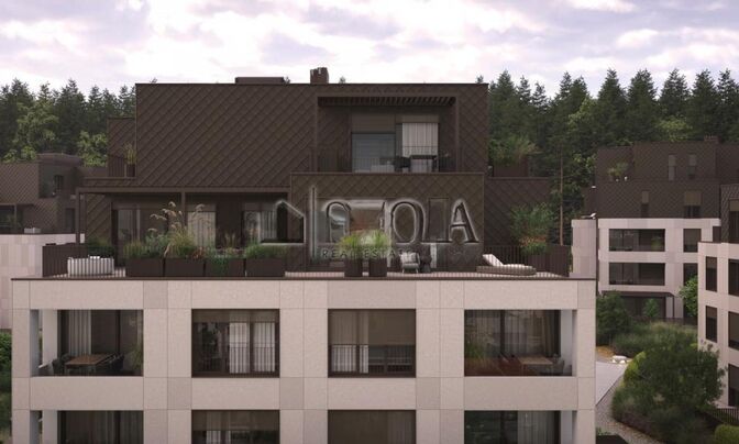 Three-room apartment Shishka