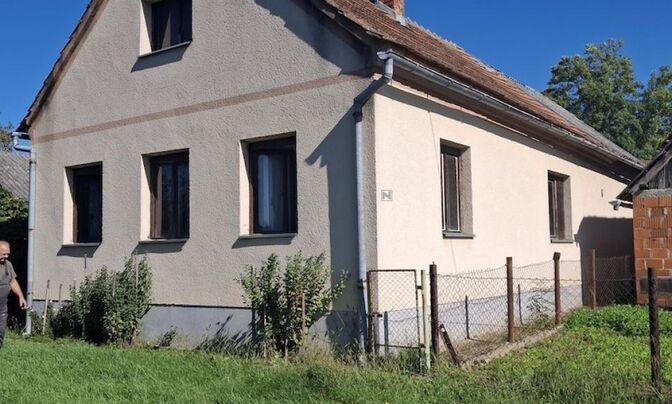 House, Nedelitsa
