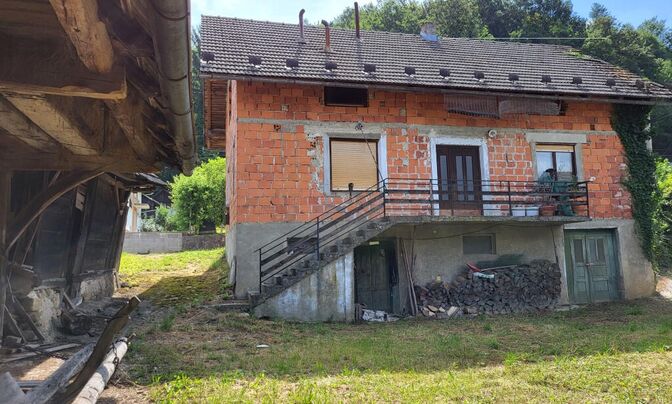 House, Novo Mesto, Podgrad