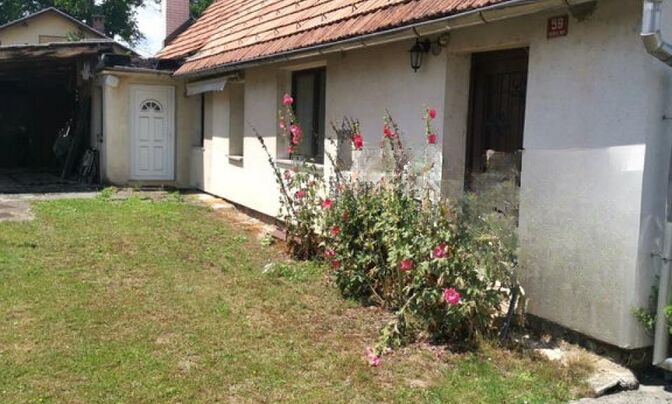 House, Kryshka Vas
