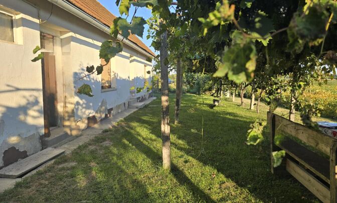 House with Terrace Mihovtsi