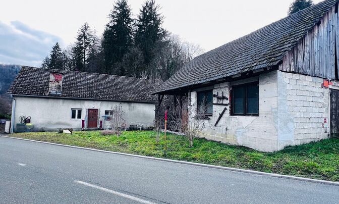 House in Sevnica