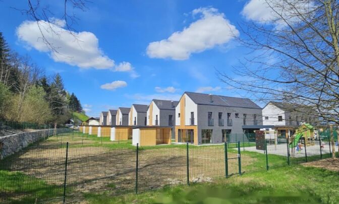 Дом, Бизовик