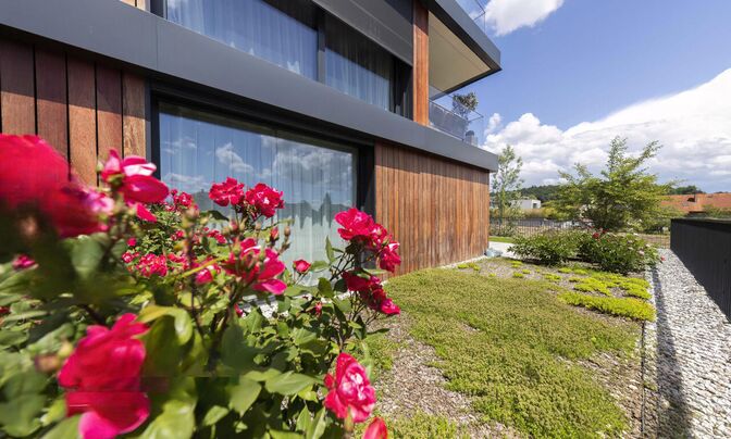 Apartment in Rozhnoy Valley