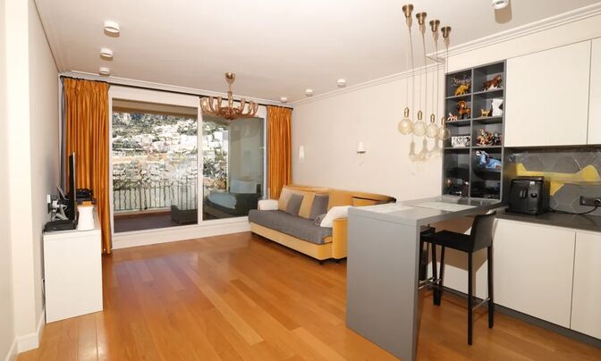 Apartment Monaco, Fontvieille