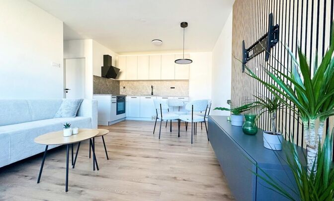Apartment in the New Štěpánské District