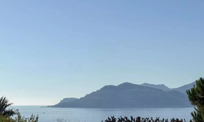 House Cannes