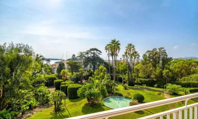 House Cannes Californie