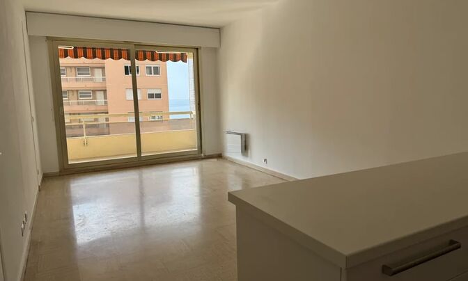 Apartment Monaco, La Rousse