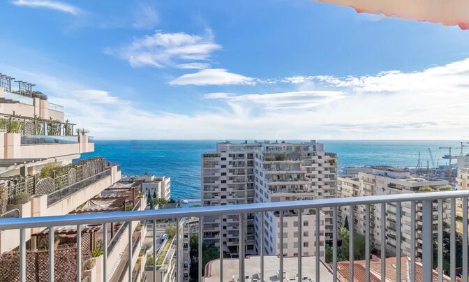 Apartment Monaco, La Rousse