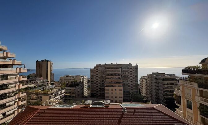 Apartment Monaco, La Rousse