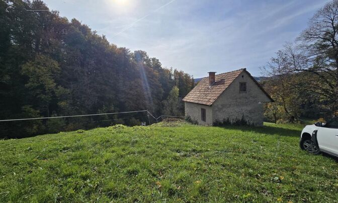 Manor, Lopatsa Farm