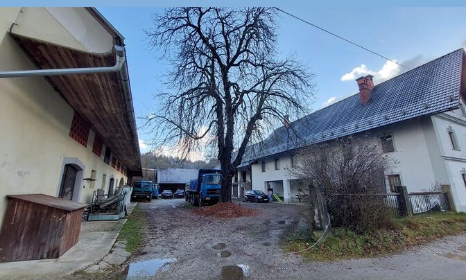 Estate, Naklo Farm
