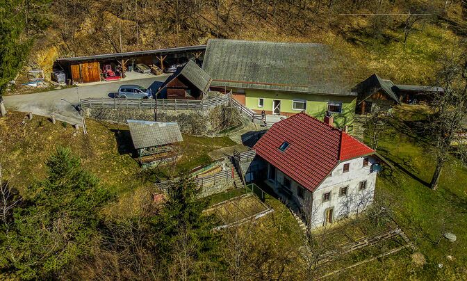 Estate, Osoynitsa Farm