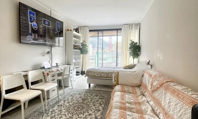 Apartment Monaco, Carre D'Or