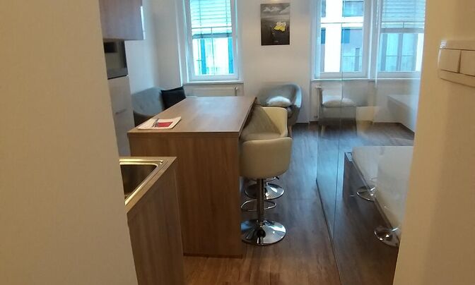Studio apartment on Frankopanska