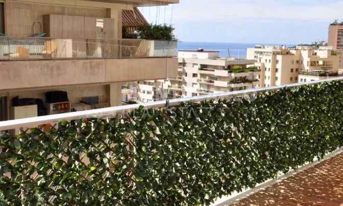 Apartment Monaco, La Rousse